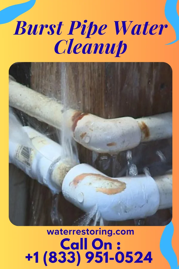 Burst Pipe Water Cleanup in North San Ysidro, NM