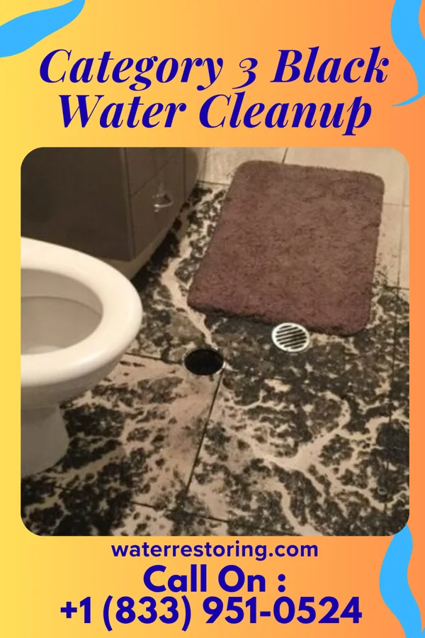 Category 3 Black Water Cleanup in North San Ysidro, NM