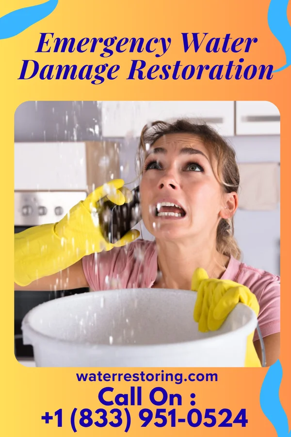 Emergency Water Damage Restoration in North San Ysidro, NM