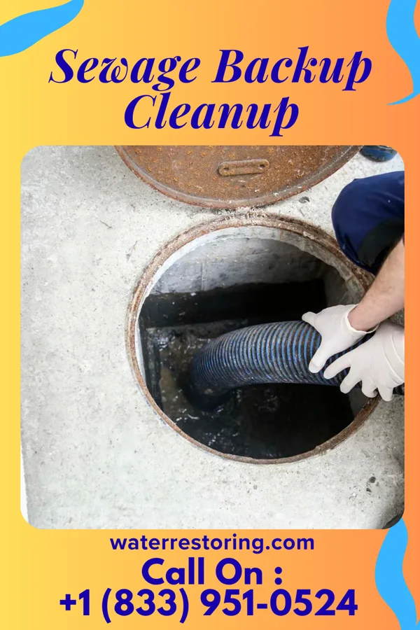 Sewage Backup Cleanup in North San Ysidro, NM