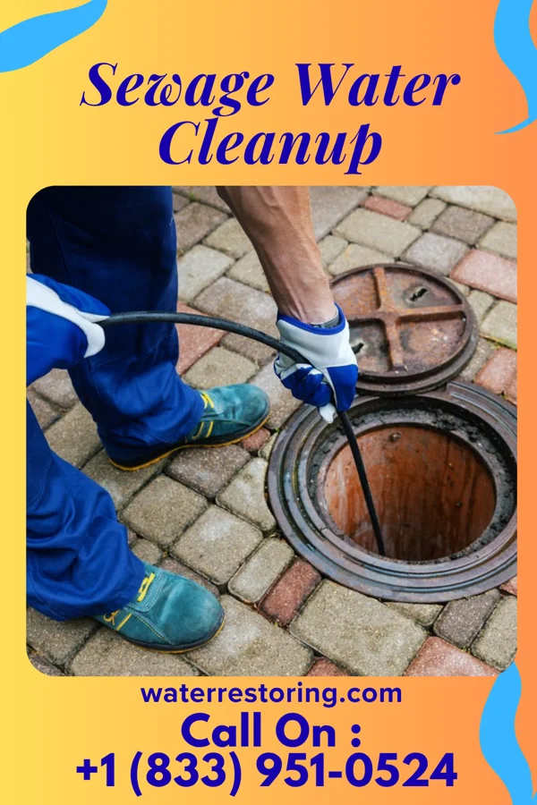 Sewage Water Cleanup in North San Ysidro, NM